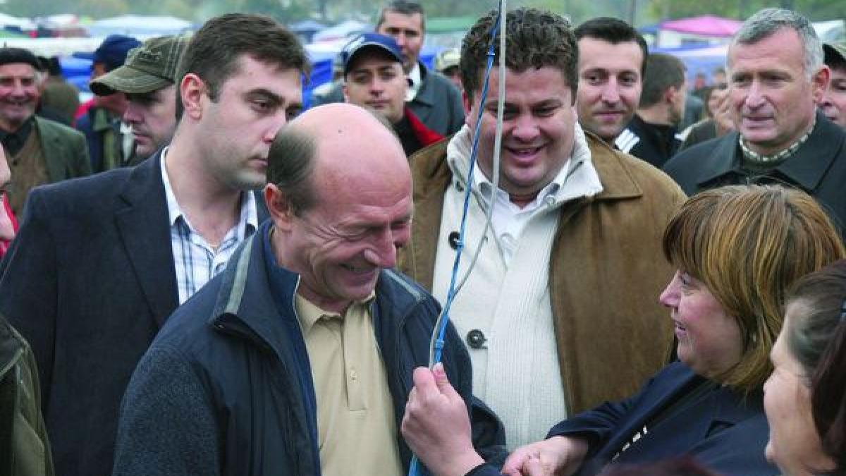 deziluzia optica regele pescarus