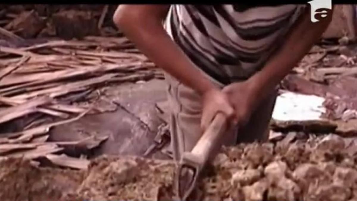 nu toti copiii au copilarie unii sunt vanduti pe cativa lei de proprii parinti si trimisi la munca