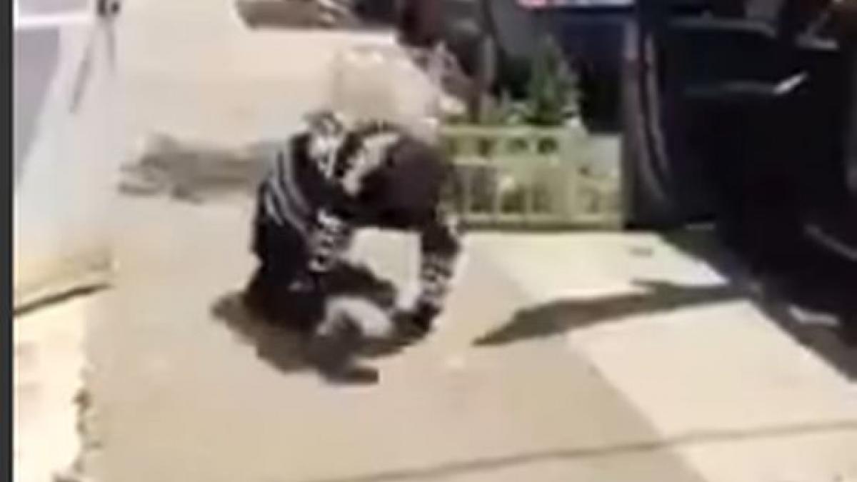 ai impresia ca se rupe asa ceva nu este posibil uite cum se misca acest barbat