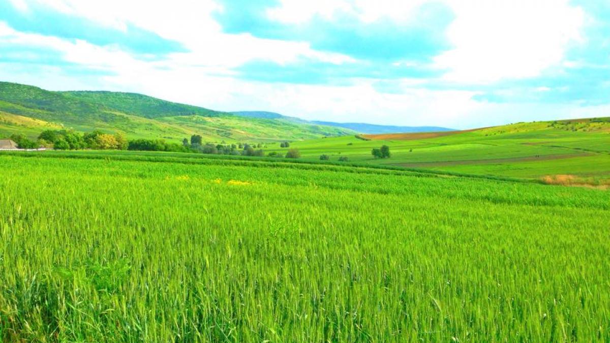 ministrul agriculturii doar 20 dintre cei care depun cereri de plata la apia au cadastrul realizat