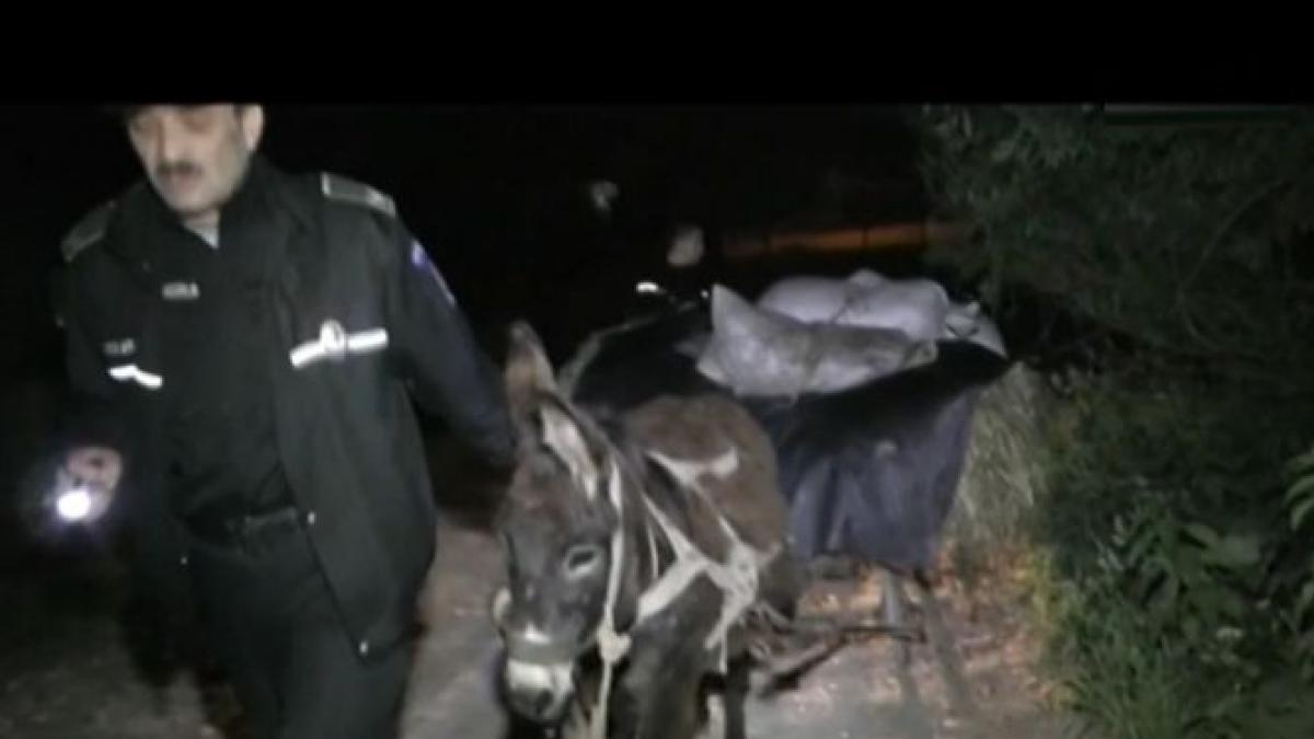 politia a dat masina de patrulare pe un magar