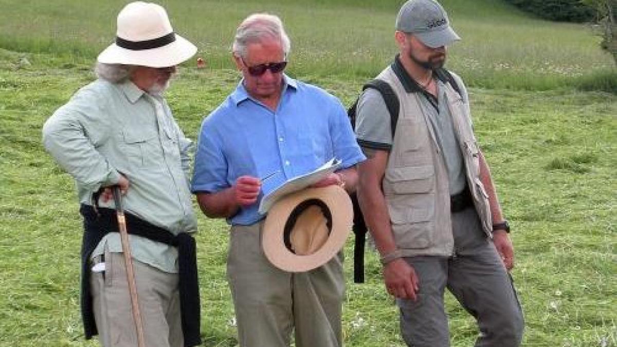 printul charles la lansarea fundatiei sale iubesc romania am o stra stra strabunica din transilvania