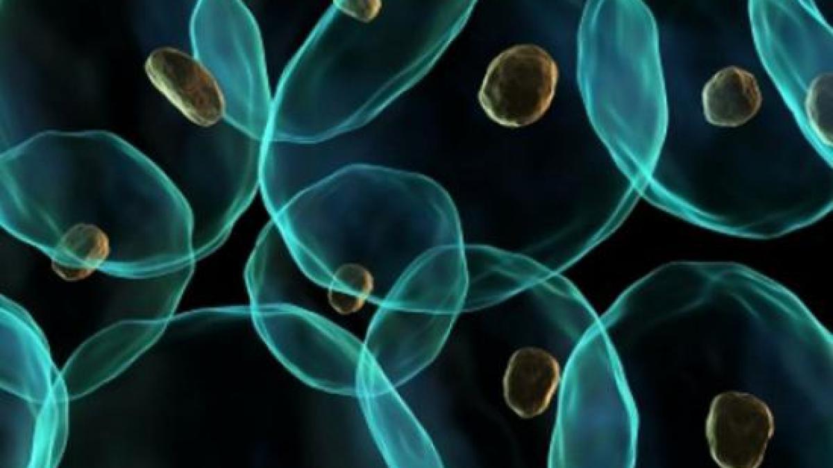 coreea de sud un al cincilea deces produs de coronavirusul mers