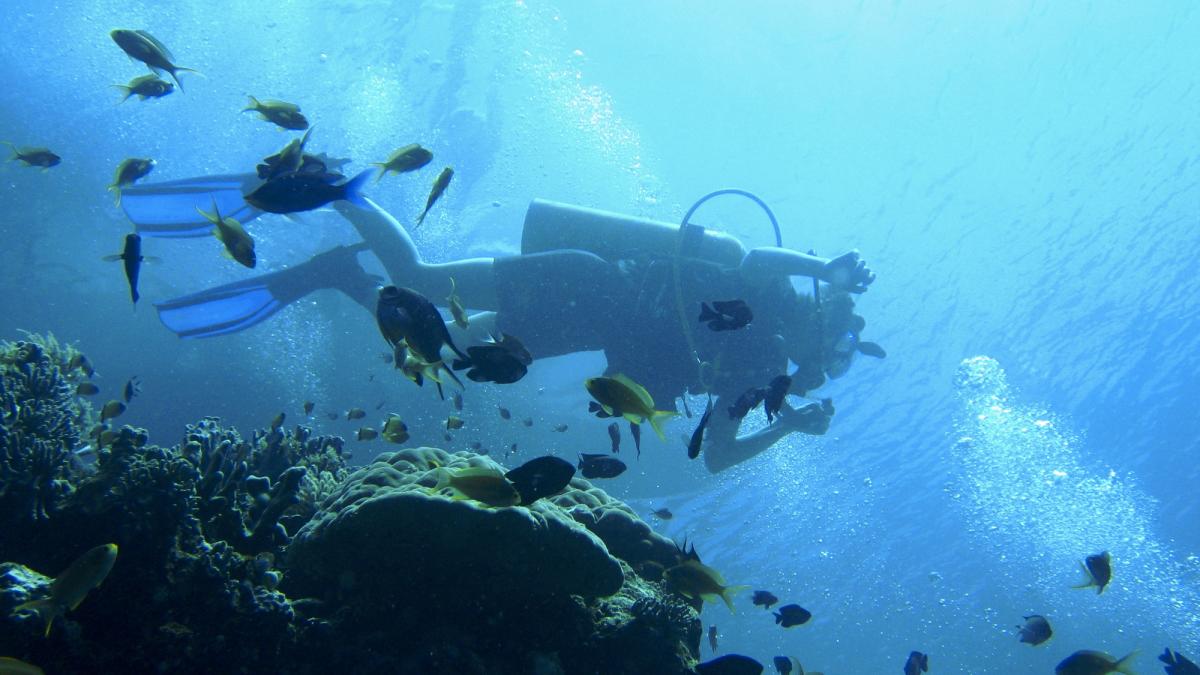 exploreaza adancurile marii in kefalonia