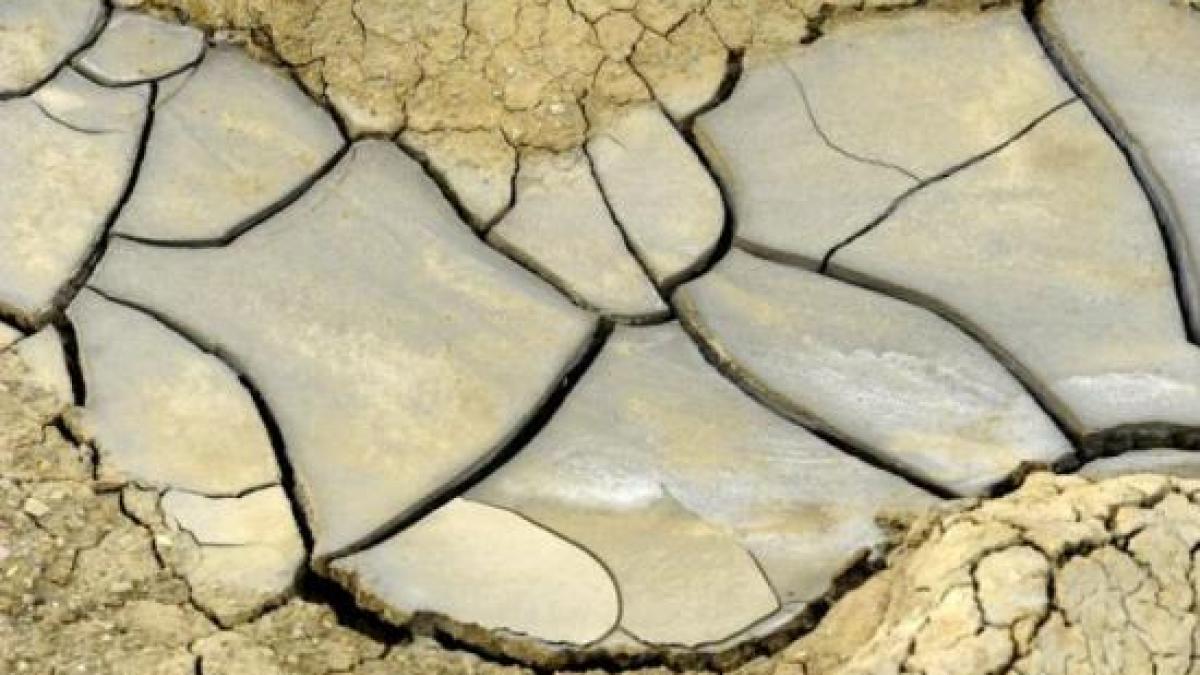 procesiune religioasa pentru ploaie ca n vremea proorocului ilie