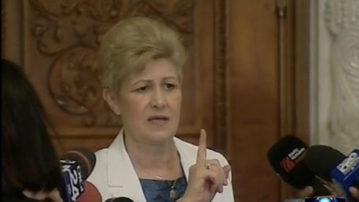 subiectiv reactia presedintei iccj cu privire la decizia in cazul rarinca