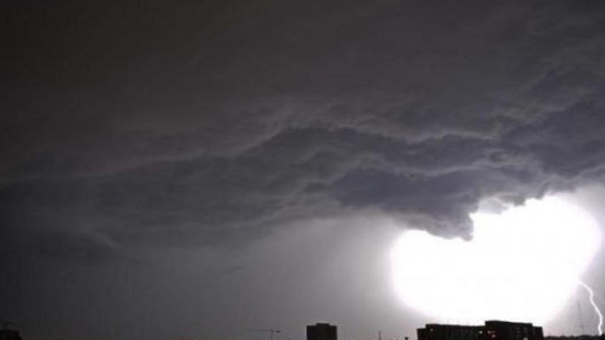 cod galben de furtuna in bucuresti