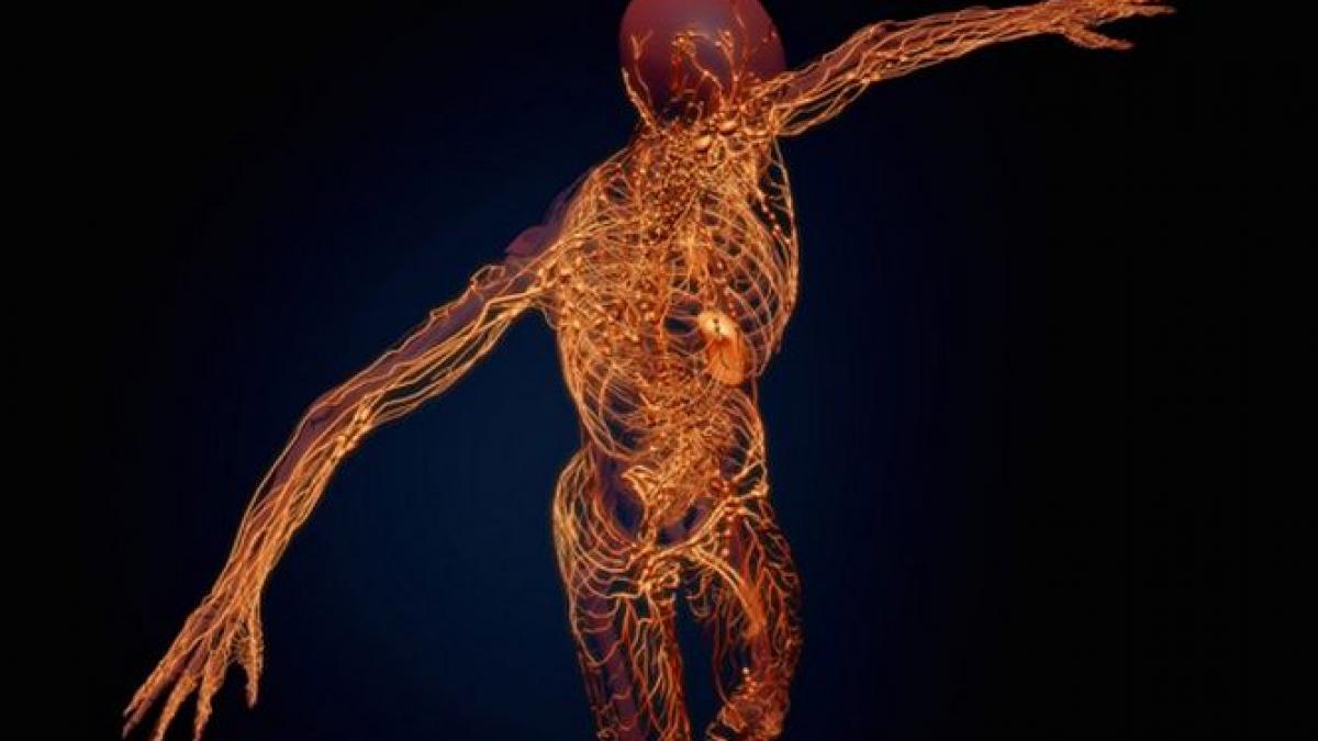 descoperirea remarcabila care ar putea conduce la tratamente eficiente pentru alzheimer sau