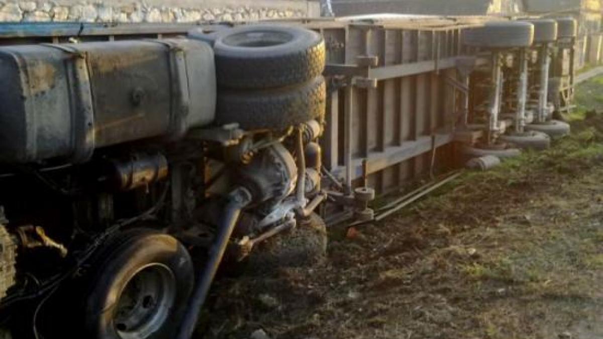 macara prabusita peste o masina in parcarea unui mall