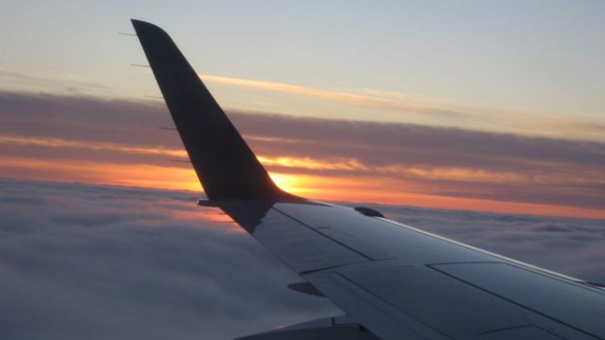 material inovator care va permite aripilor de avioane sa se repare singure ne am inspirat din