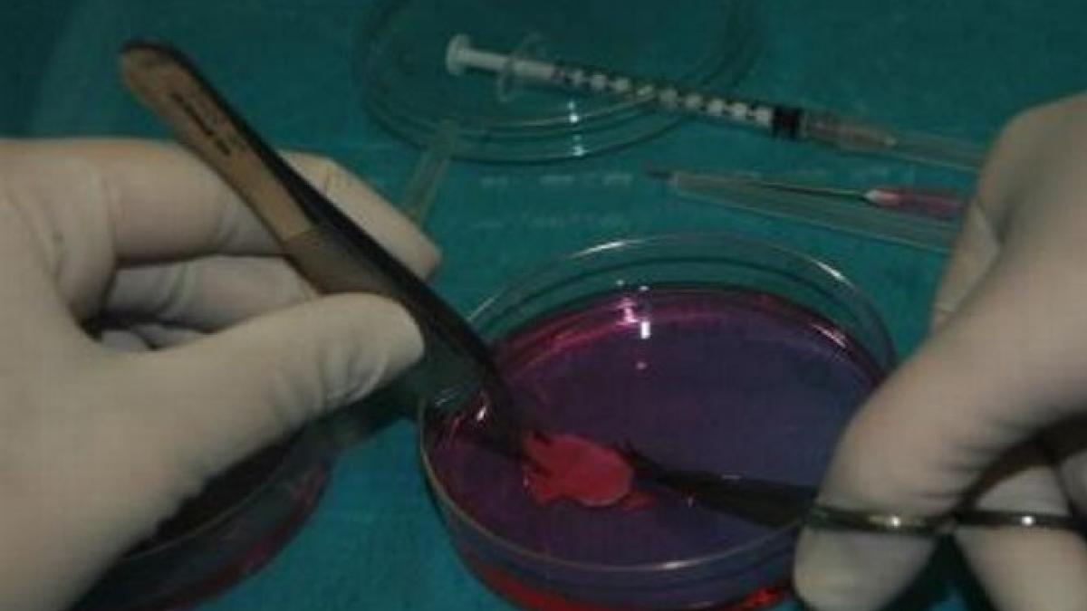 premiera mondiala a nascut un copil sanatos dupa ce i s a implantat tesut ovarian prelevat si