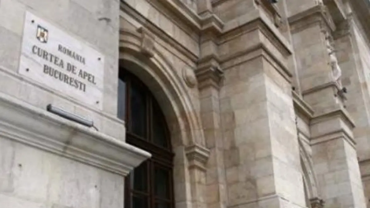surse avocata lui sile camataru promitea interventii la judecatori de la tribunalul bucuresti si
