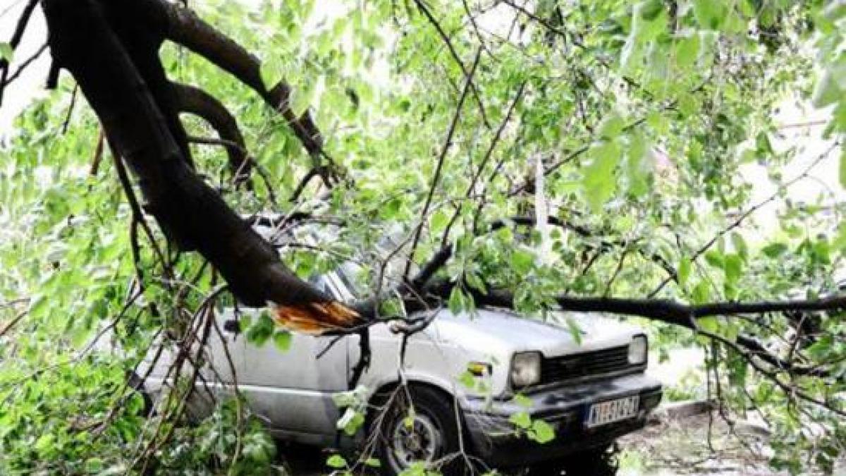 romanca ucisa de furtuna din spania