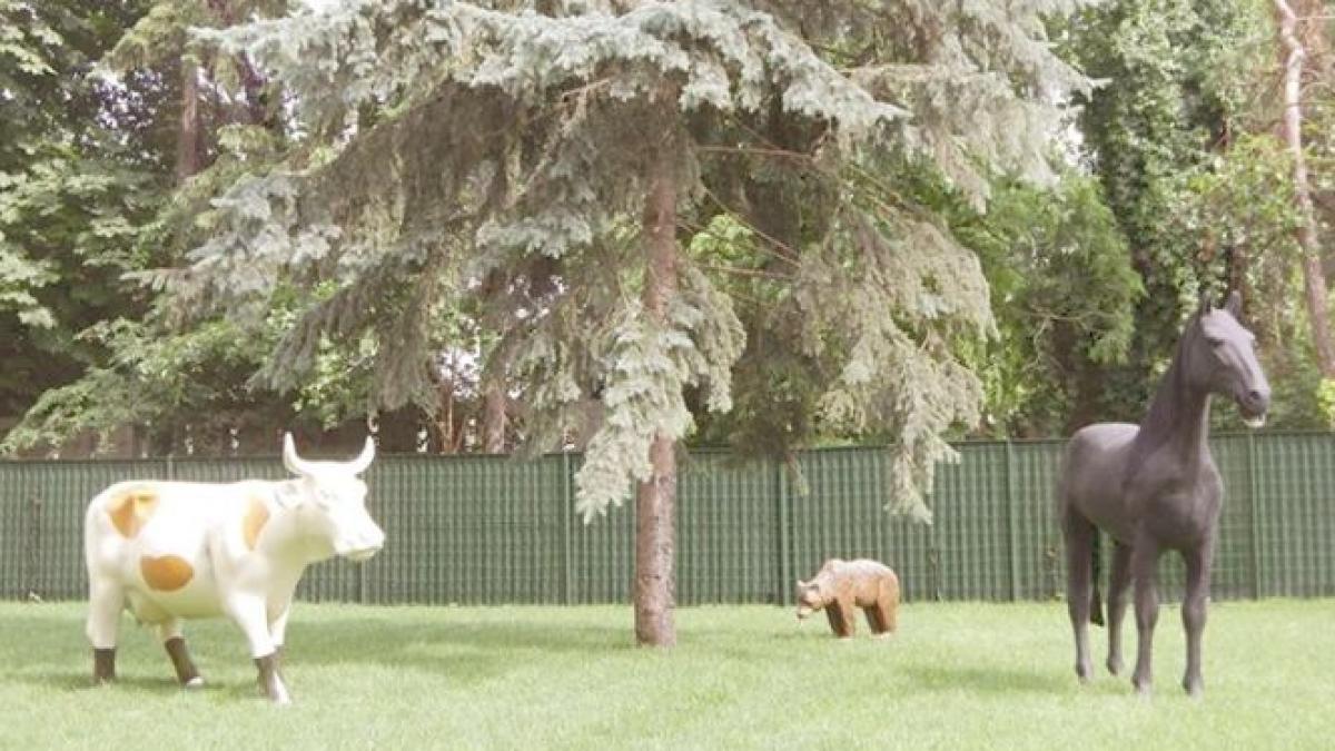 cum explica basescu menajeria teapana din curte