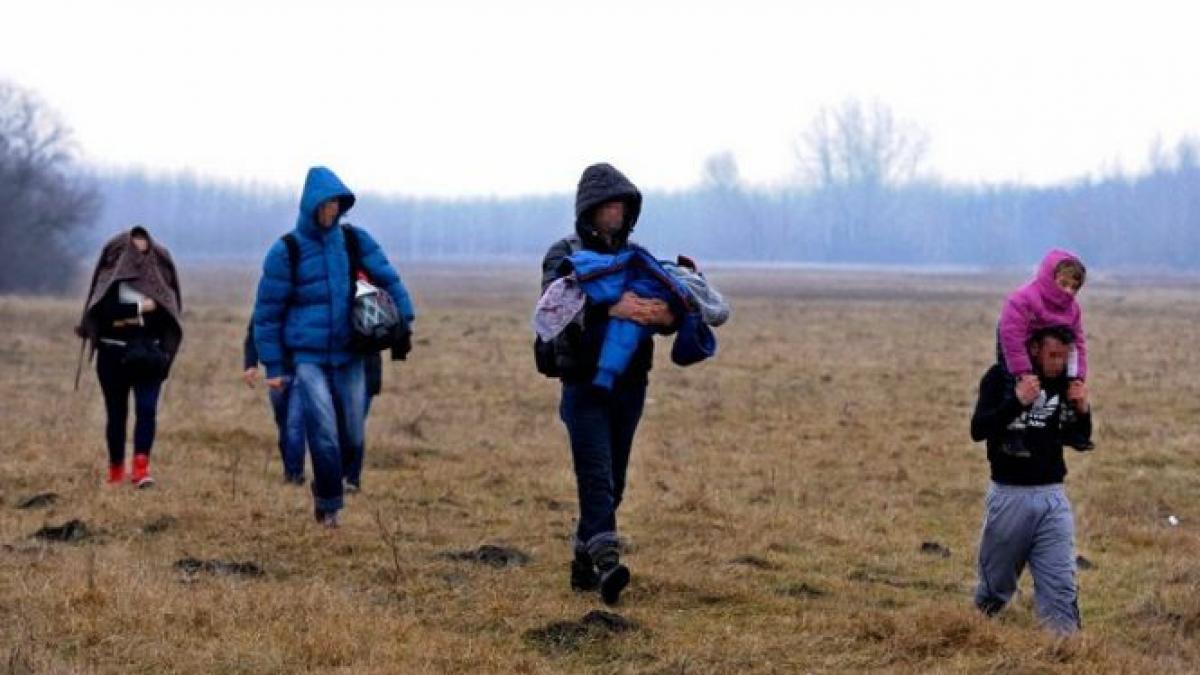 guvernul ungar vrea sa ridice un gard la granita cu serbia pentru combaterea imigratiei ilegale