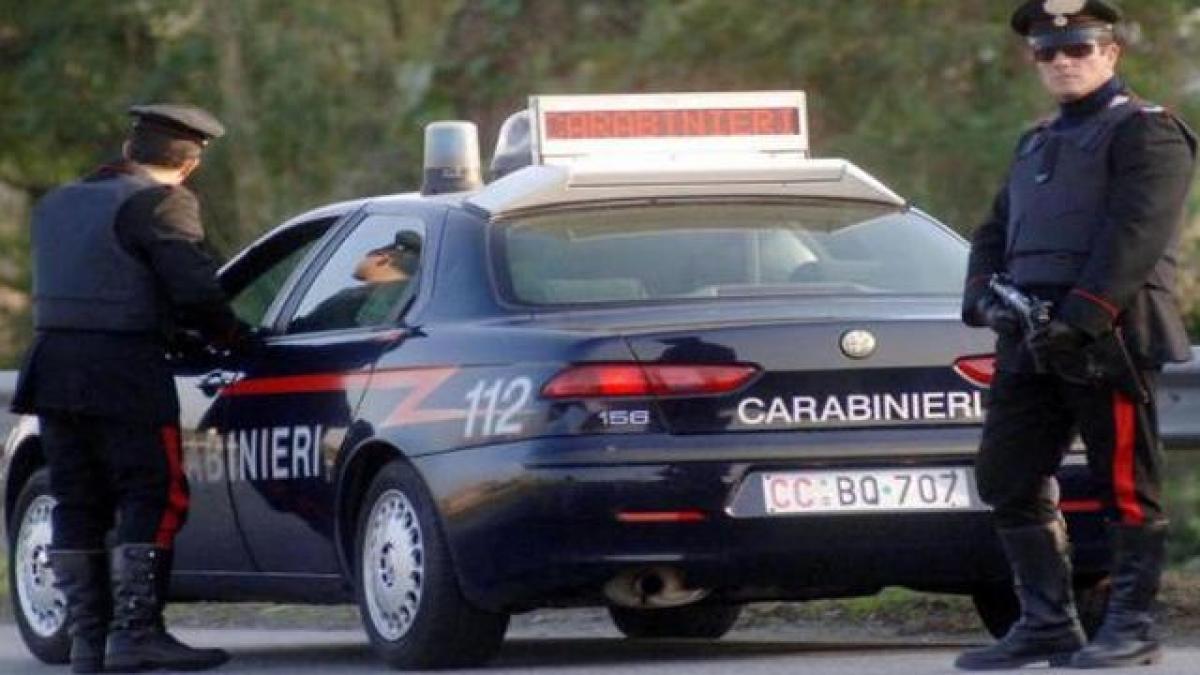 descoperire impresionanta in gradina vilei unui traficant de droguri