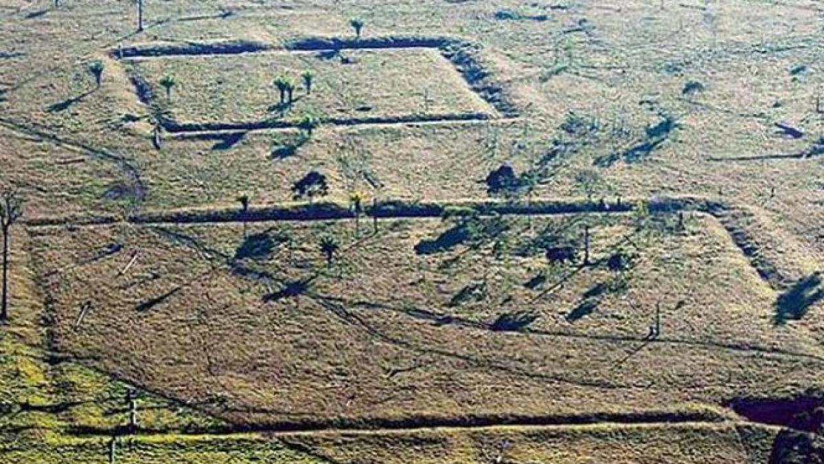 Descoperire remarcabilă în Amazonia. Urmele unei civilizaţii străvechi