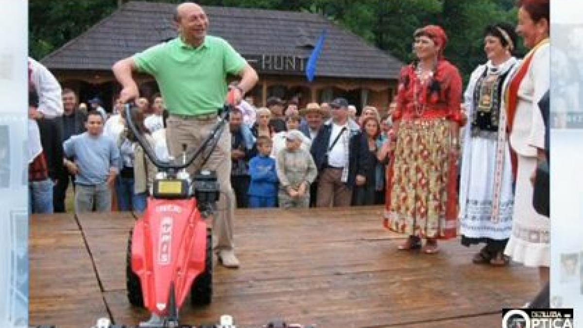 deziluzia optica licoarea din gradina