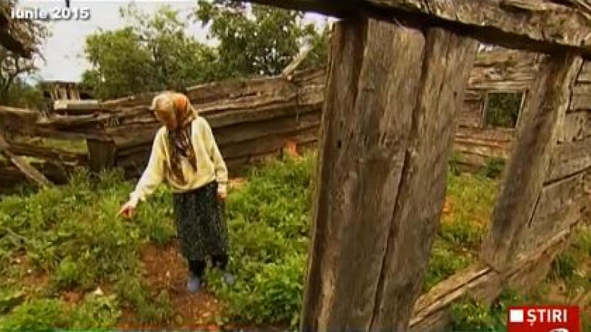 fii la putere disputata de mostenitori sau institutii adevarata casa a lui brancusi a ajuns o ruina