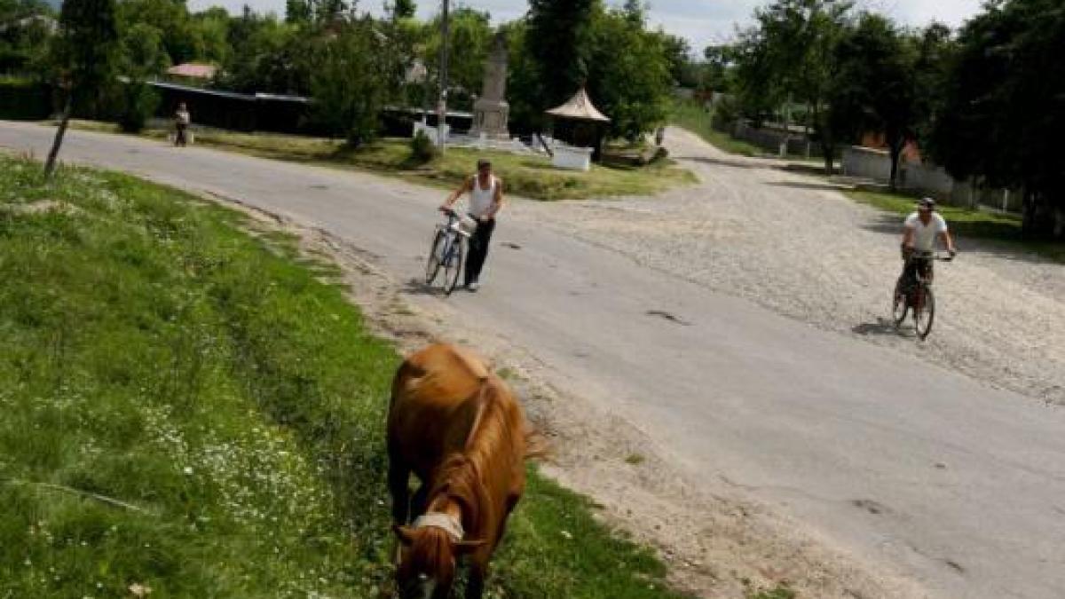 proiecte pentru sprijinirea copiilor din rural finantate cu peste 500 000 de euro