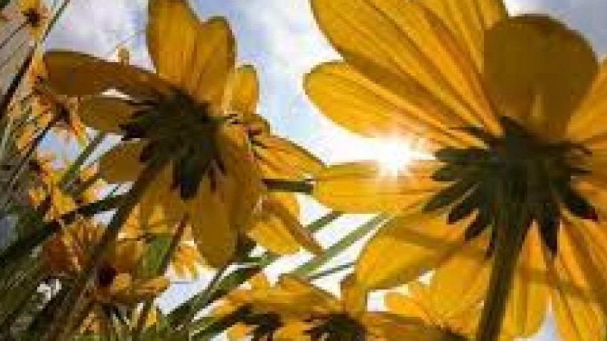 cum va fi vremea in bucuresti e bine sa stii cum pleci imbracat