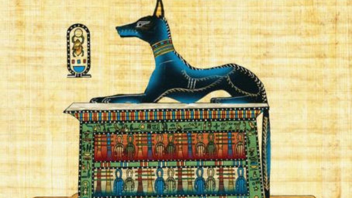 peste opt milioane de caini mumificati descoperiti in catacombe egiptene