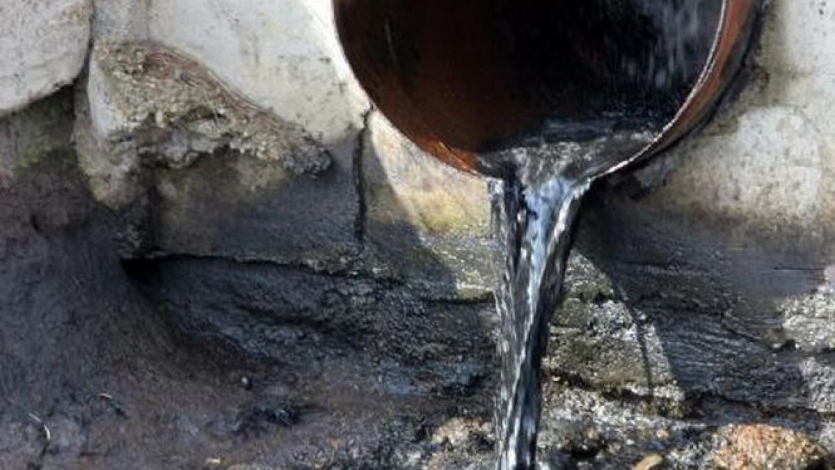 studiu poluarea poate afecta creierul uman