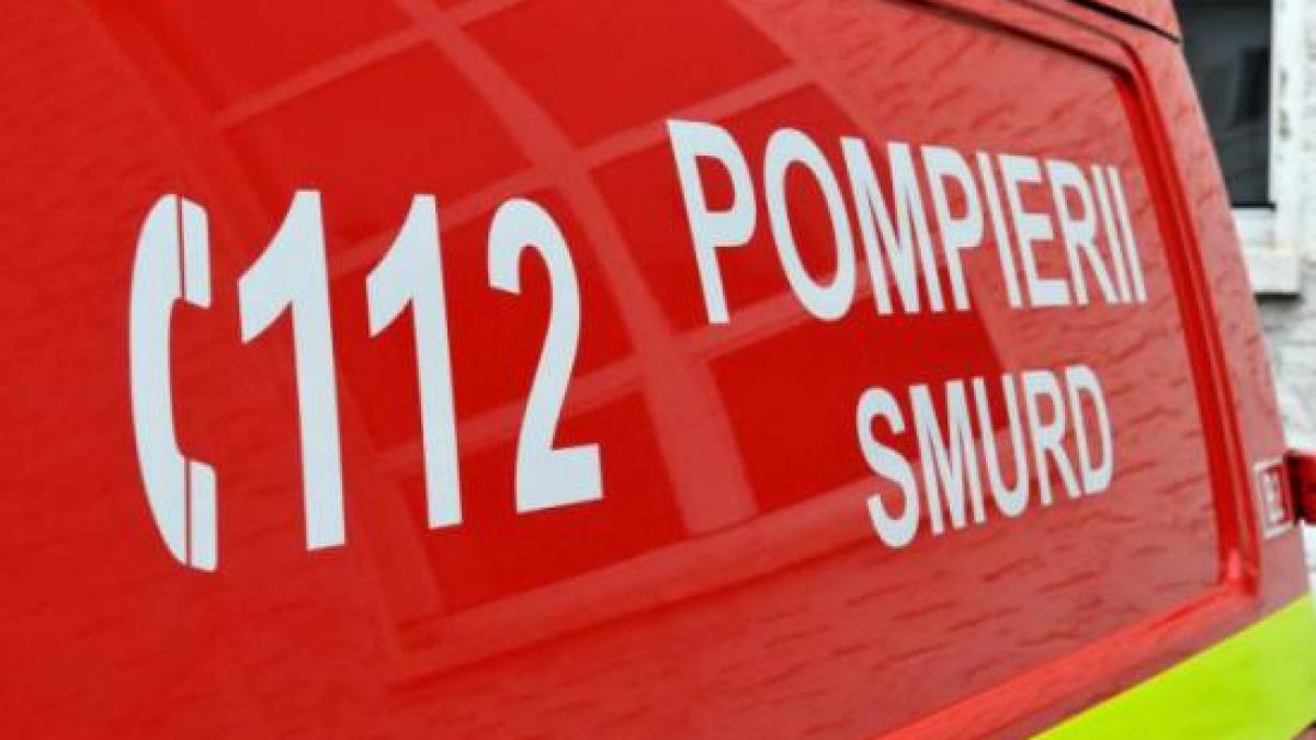 batrana salvata din mlastina in ultima clipa