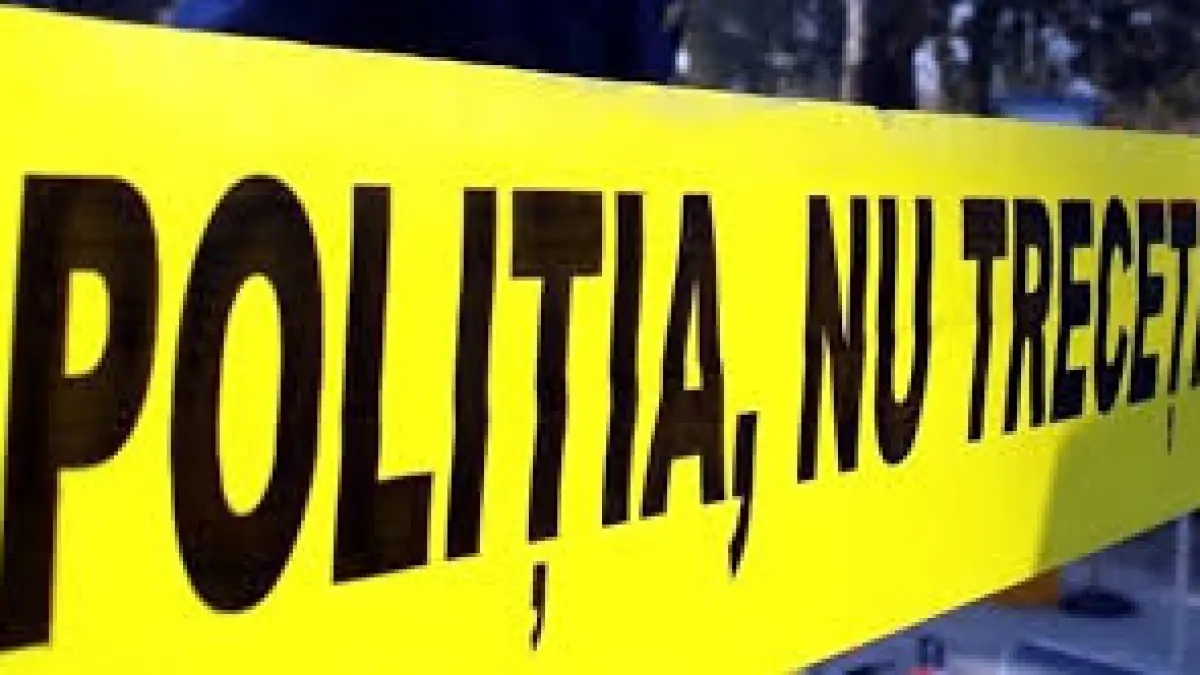 s a urcat la volan decizia i a fost fatala