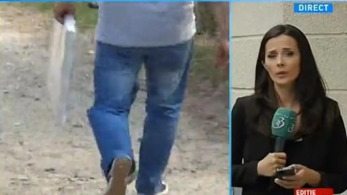 interceptari cum facea procurorul eva trafic cu tablouri
