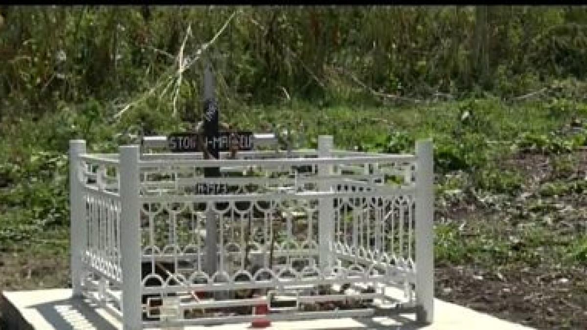 justitia a decis au ucis cu sange rece au recunoscut fapta si acum se plimba liberi