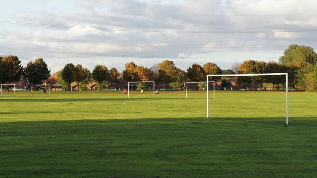 trofeu cucerit de dinamo vezi despre ce este vorba