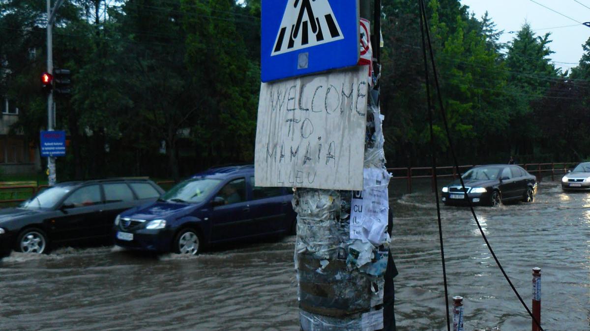 cod galben de furtuna pentru judetul timis pana la 14 50