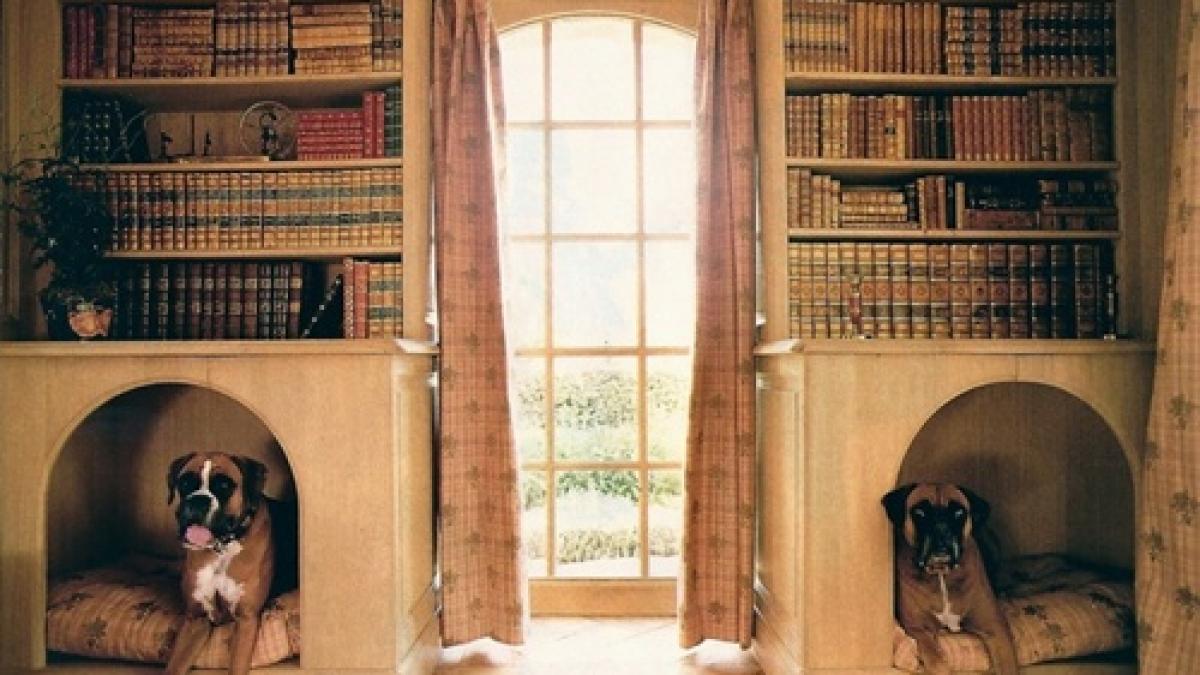 case de vis pentru animalele de companie cele mai cool adaposturi