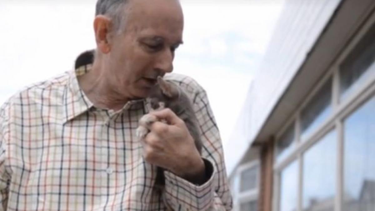 el e boo cel mai mic caine din marea britanie este cat o cutie de bere