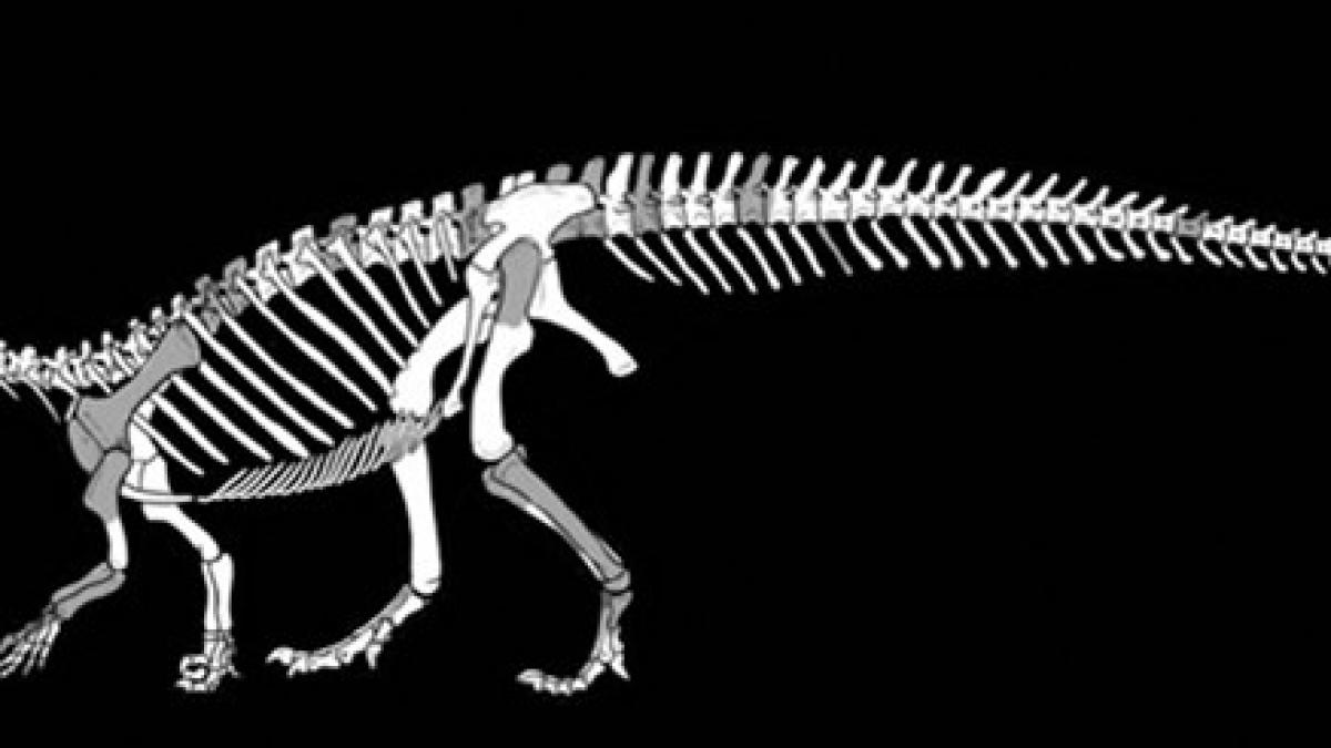 oamenii de stiinta au descoperit un nou dinozaur