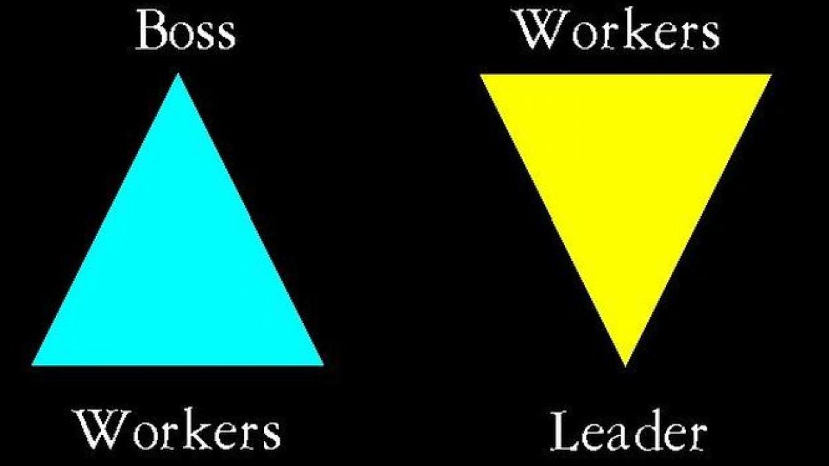 sef sau lider 7 pasi catre succes