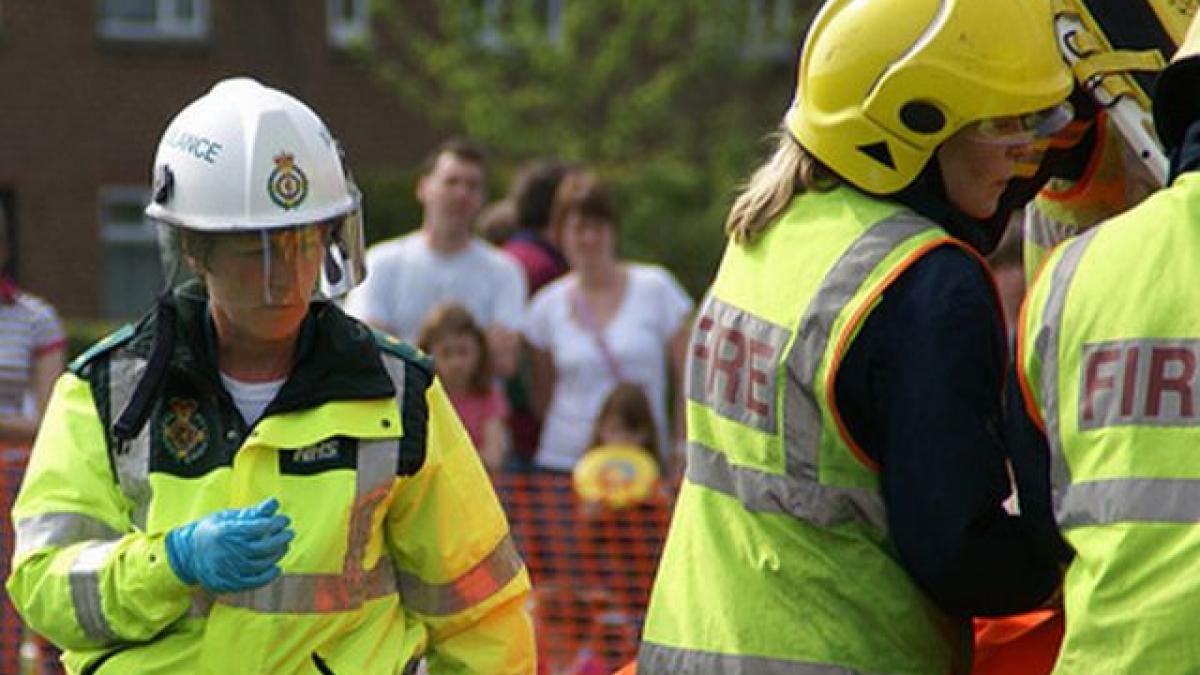 a fost oribil l au tocat de viu moarte stupida si descoperirea halucinanta