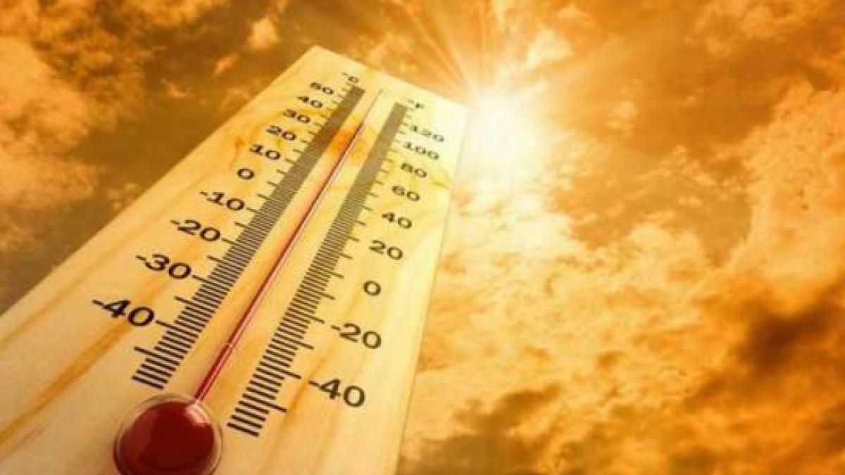 cod portocaliu de canicula in vestul europei