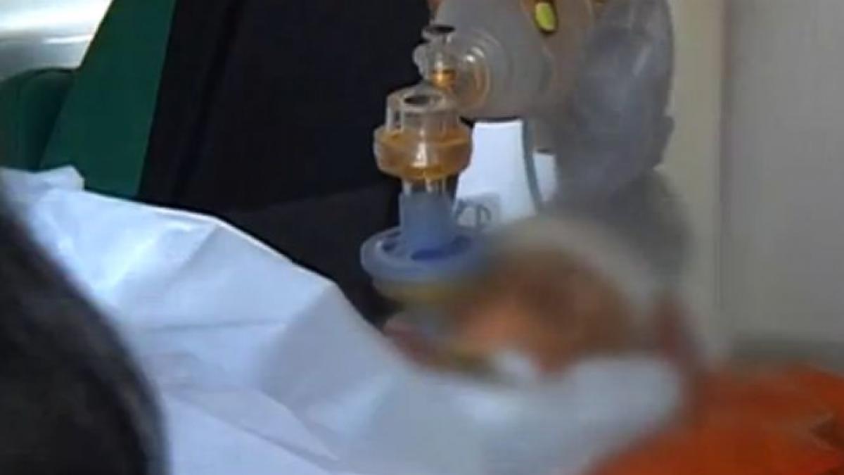 copil si mama atacati de un caine pitbull copilul are rani grave la cap video