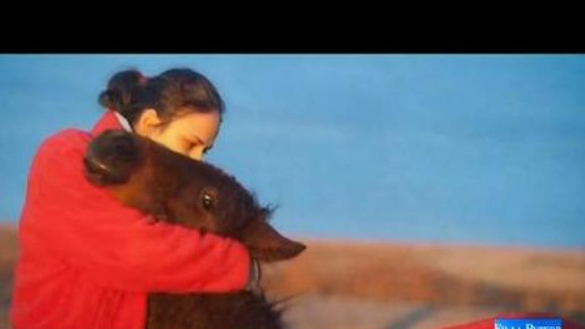 fii la putere jurnalistii antena 3 sunt in delta dunarii