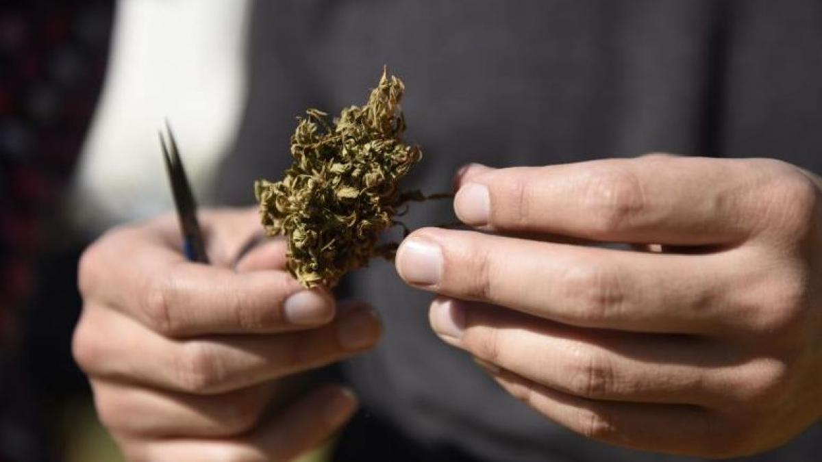 inca un stat american a declarat consumul de marijuana legal