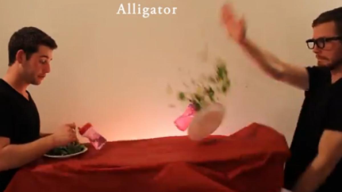 lesini de ras afla cum mananca animalele de fapt