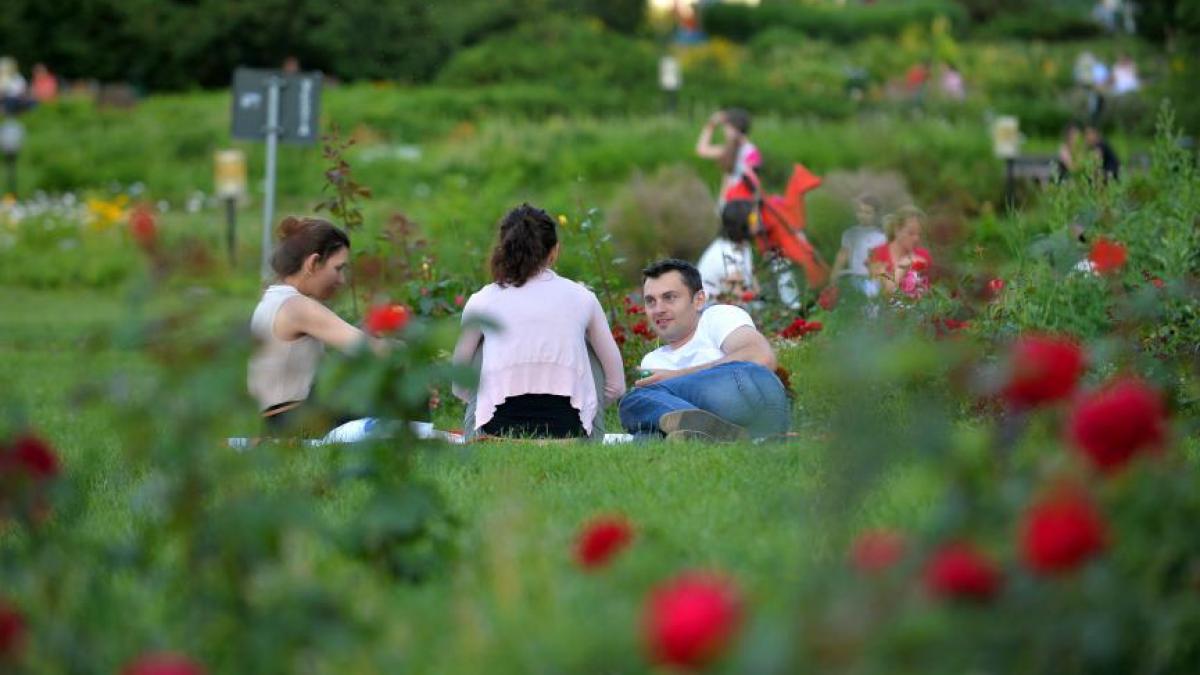 cinematograful in aer liber din herastrau se redeschide vineri