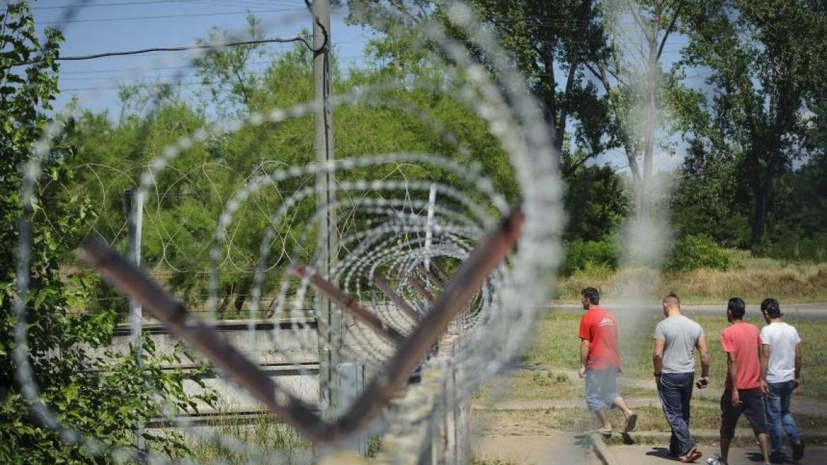 gardul de la granita dintre ungaria si serbia va fi gata in cateva luni