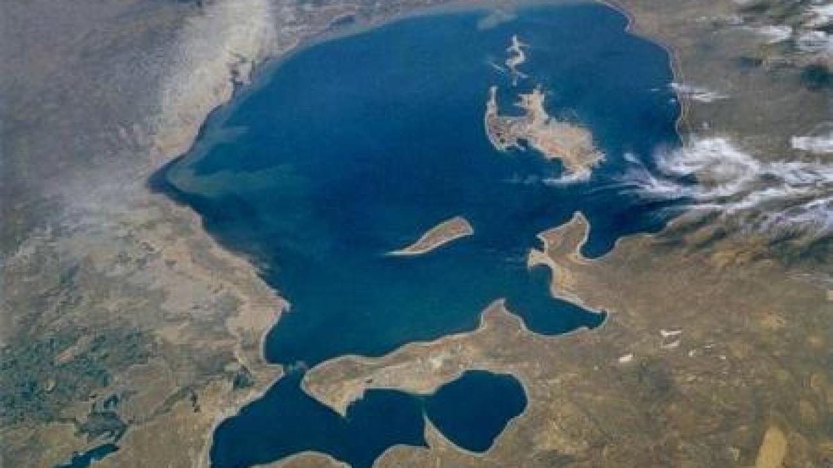 marea omorata de oameni este o adevarata catastrofa ecologica