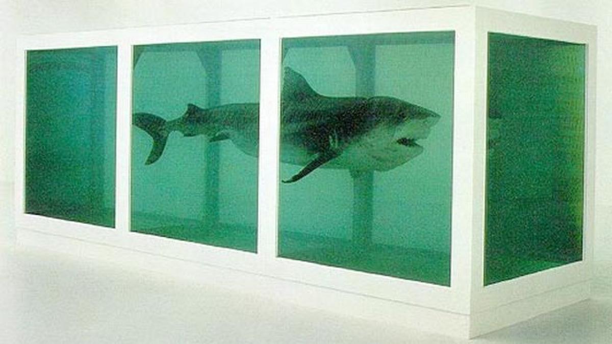 rechinul imbalsamat sau masina de detectat fantome cateva dintre fitele vedetelor si ale