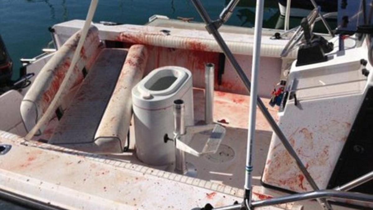 video haos si sange peste tot o familie s a trezit cu asta in barca