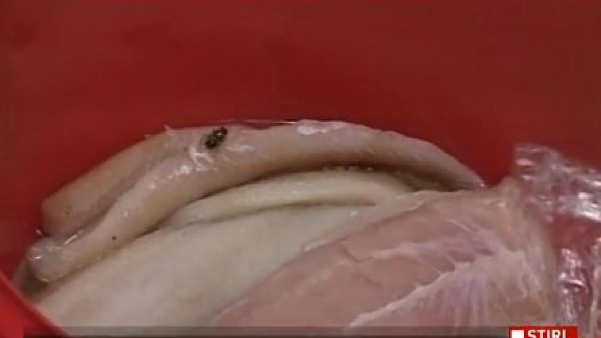 carne cu muste si pui stricat la terasele de pe litoral explicatia patronilor azi am angajat ieri