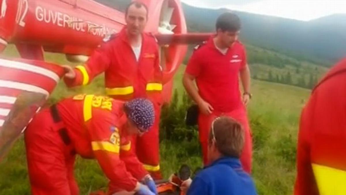 miracol in muntii cindrel povestea incredibila de supravietuire a unui biolog roman